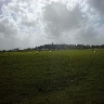 Rye from Camber Fields