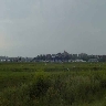 Rye from Northpoint