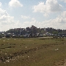 Rye From the River Bank