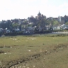 Rye from the river bank