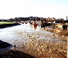 Rye from the Bridge
