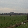 Rye From the Fields