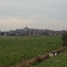 Rye from the fields