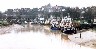 Fishmarket